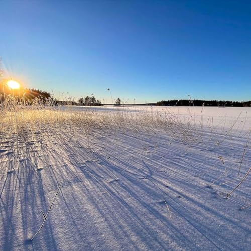 『Quiet and calm on a frozen lake in Finland』のカバーアート