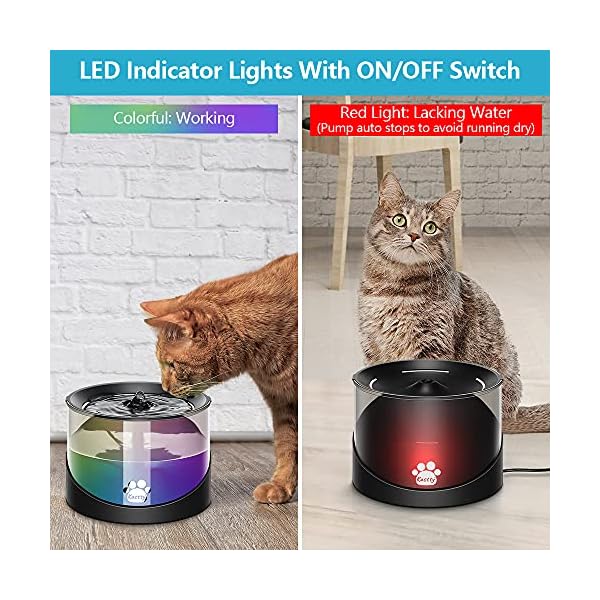 Kastty-Cat-Water-Fountain-Super-Quiet-Water-Fountain-for-Cats-Inside-Pet-Water-Fountain-for-Kitty-Cat-Waterer-Dog-Bowl-Dispenser-22L74ozwith-Super-Long-Life-Span-Pump-BlackColorful-LED-Light Dog Bowl Dispenser with Long Life Span Pump