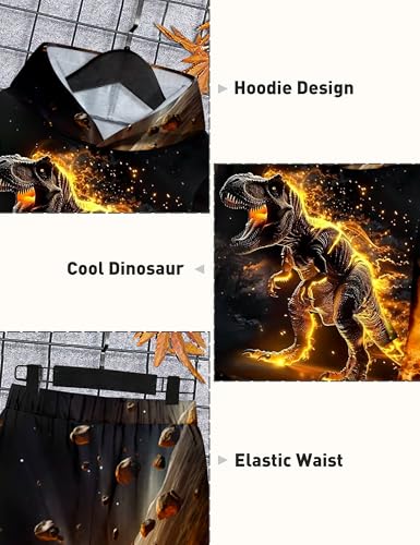 Image of Boys Clothes, T-Rex Print Dinosaur Boy Clothes Fall Winter Outfits Long-sleeved Hooded Sweatshirt Pants 2Pcs Set