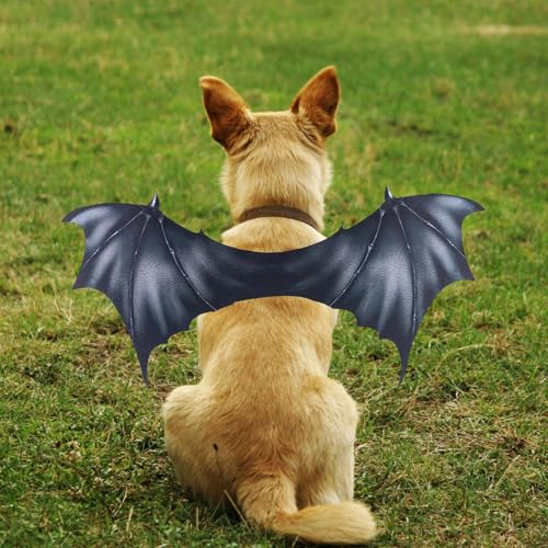 Hundekostüme Für Halloween - Hund Kostüm | Outfit Kreatives Cosplay Zubehör Für Welpenclub Outdoor Haustier Verkleidung