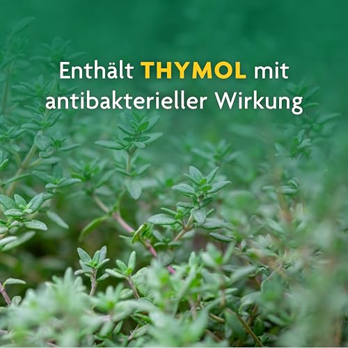 Schoenenberger - Thymian naturreiner Heilpflanzensaft - 1x 200 ml Glasflasche - wirksame Hilfe bei Husten und Bronchitis - pflanzliches Arzneimittel