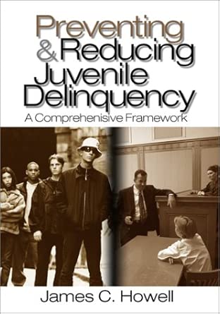 Preventing and Reducing Juvenile Delinquency: A Comprehensive Framework book cover