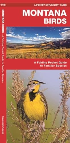 Montana Birds: A Folding Pocket Guide To Familiar Species (Wildlife And Nature Identification) #TOP22