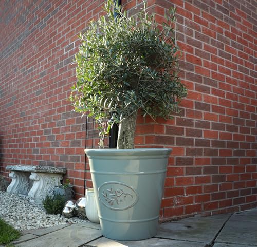 Classic 75L Olive Planter | Ceramic Look Round Plastic Flower Pot with Glossy Finish | Frost & UV Resistant Traditional Garden Plant Pot| Dia: 40cm 50cm & Square | Grey (1 50cm XL Round)