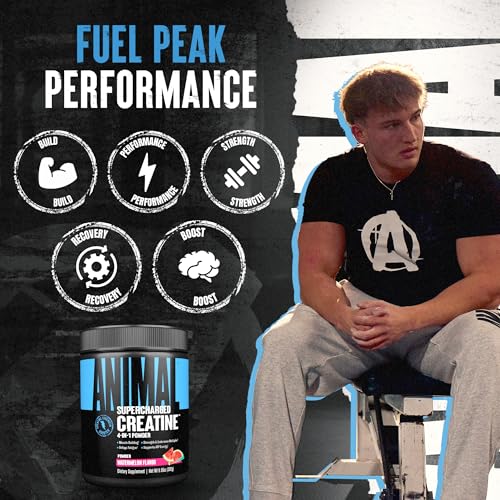 Image of Animal Supercharged Creatine Powder - Flavored Creatine Monohydrate Enhanced with Betaine Anhydrous, PurpleForce & Senactiv, Strength, Endurance, Muscle Recovery for Men and Women - Watermelon, 300g