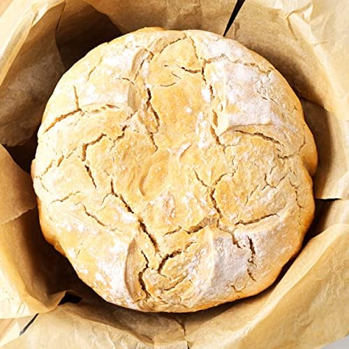 Fissler P506530 Cast Iron Round Casserole Dish with Self Basting Lid, 4.2 L, Dutch Oven for Stews, Baking Sourdough Bread, Slow Cooking, Oven and Induction Hob Safe, Stainless Steel Knob, 24 cm, Black