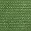 Piquant Green