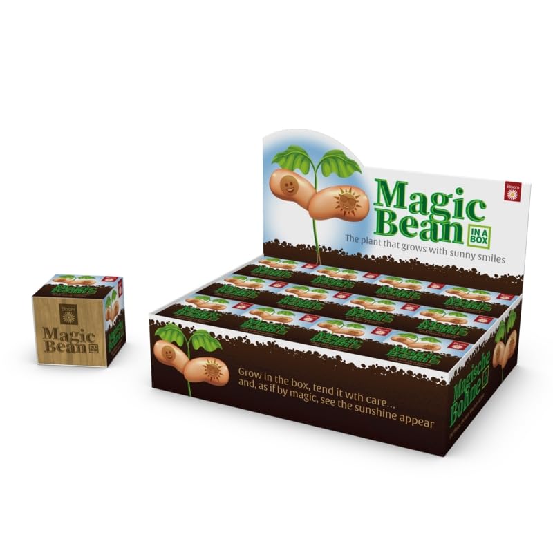 Magic Bean 'in A Box' Gift Plant, Grow Your Own Magic Bean, Embossed Seed Design