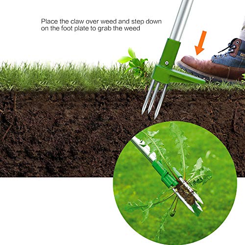 Tantrum Tow Ropes Stand Up Weeder, Manual Weed Puller Root Removal Tool with 3 Claws - Hand Weeder Gardening Tool Stainless Steel