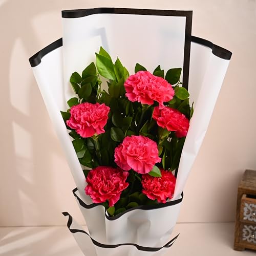 Image of FlowerAura Premium Fresh Live Flower Bouquet of 6 Pink Carnations In Designer Paper Gift For Birthday | Anniversary | Love | Home Decor | Fathers Day Gift For Dad (Same Day Delivery)