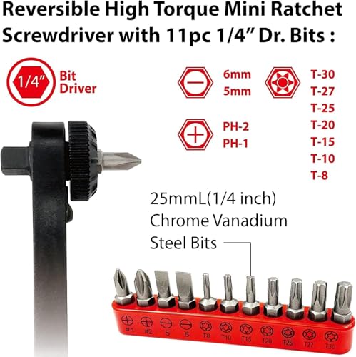 BIG RED BHT-17HTRS01R-2 Conjunto de soquetes Torin, conjunto de chave de fenda catraca, 36 dentes re