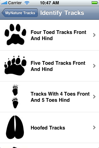 MyNature Animal Tracks