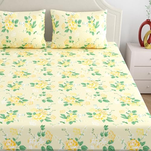 Image of Home Ecstasy 100% Cotton King Fitted Bedsheet with 2 Pillow Covers - (Size 72 x 78 inches, 140 TC, Colour - Cream: Gilded Cream)