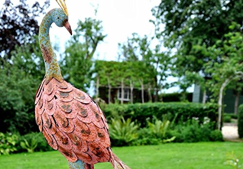 Paon rustique 100172 : la solution déco pour donner vie à un jardin vide