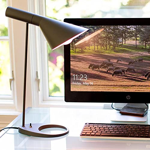 Chromalux Light Bulb Frosted-60W - 1 Bulb (Pack Of 2) #TOP4