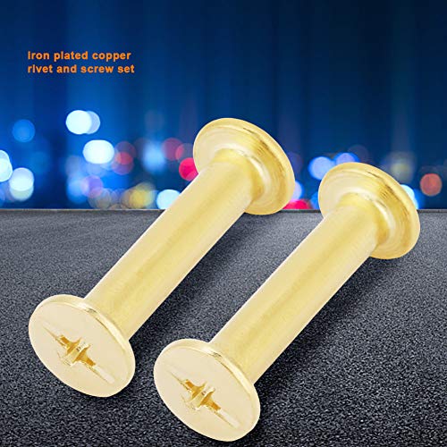 CUYT Viti Chicago M5 durevoli Lisce da 20 Pezzi