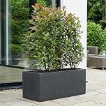 IDEALIST 60cm Large Trough | Dark Grey Reinforced Stone Rectangular Planter | Garden Planters with Drainage Holes L60 W30 H30 cm, 35 litres
