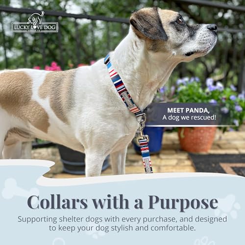 Collier réglable chiens de taille moyenne Linus durable et confortable - 7