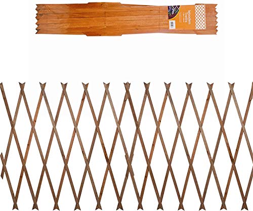 busybee 1 x 6ft x 2ft Tan/light brown expanding garden trellis 5060888000009 (LIGHT BROWN)