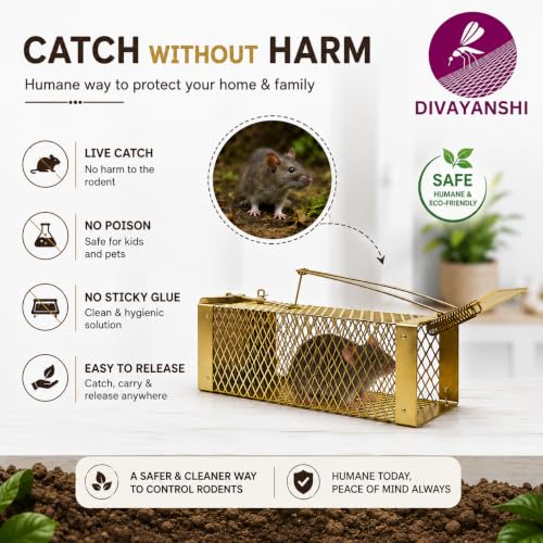 Image of Divayanshi Heavy-Duty Rat Trap - Reusable Humane Rodent Catcher for Mice & Rats, Strong Spring Mechanism, Easy to Set & Clean, Indoor & Outdoor Use- Small (7.5 inch)