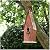 Glitzhome Hand Painted Distressed Hanging Wood Bird House for Outdoors 13.25" H