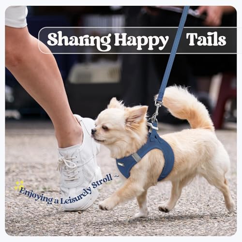 rabbitgoo Step-In Harness & Leash Set (Navy Blue, Small) — view 9