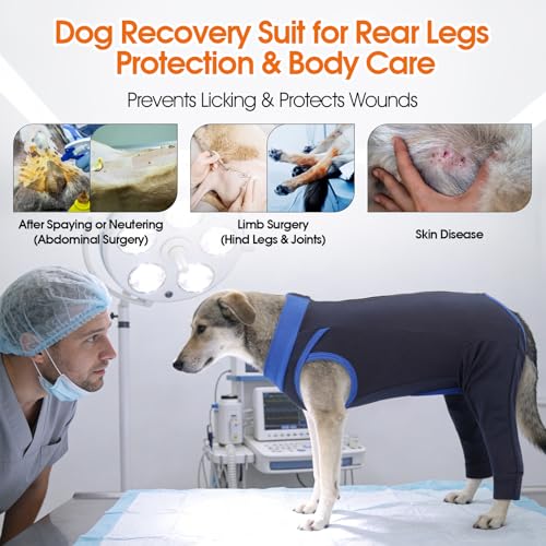 Image of Lelepet Dog Recovery Suit for Rear Legs, Surgery Onesie, Cone Alternative | Protects rear legs and abdomen from licking and scratching. Breathable recovery suit for male and female dogs after surgery.
