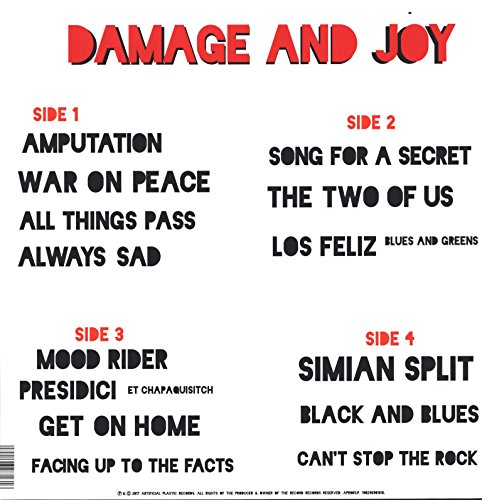 Damage And Joy