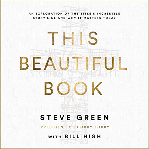 Cover art for This Beautiful Book