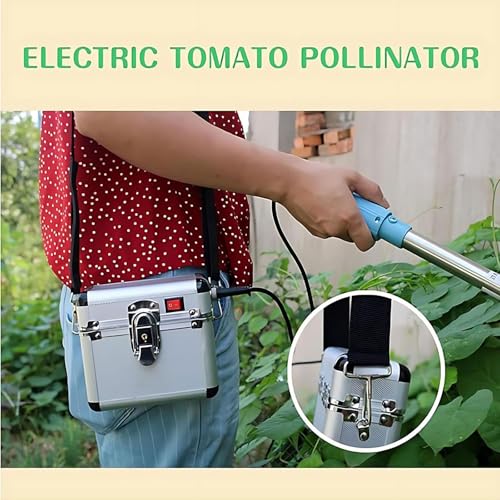 Pollinisateur électrique de tomates contre le manque de fructification