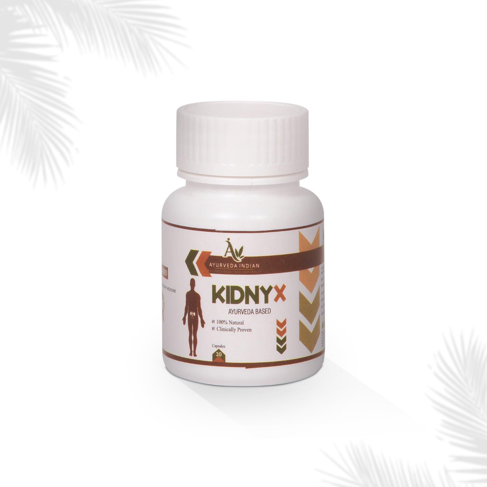 Kidnyx Kidney Support Ayurvedic Health Supplement | Kidney Detox Capsules to Manage Creatinine Levels | Urinary Tract Infection (Uti) | Punarnava Kwath | Panchtrin Mool Kwath Gokshuradi Guggulu Shweta Parpati Extracts - 30 Capsules (1)