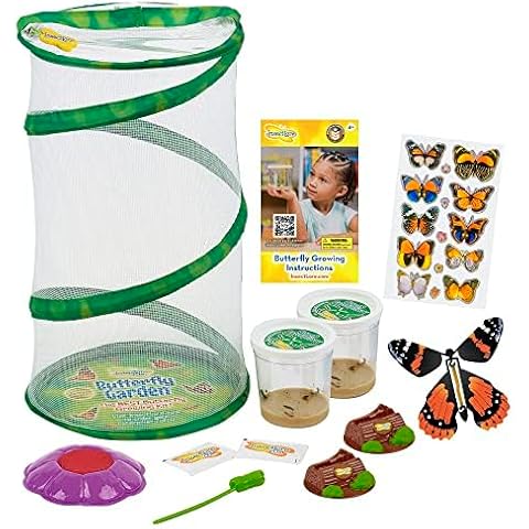 Insect Lore Butterfly Garden 8" Habitat Gift Set | 10 Live Baby Painted Lady Caterpillars | Includes Caterpillars, Food, 3D Butterfly Stickers and Butterfly Wind-up Toy Cover