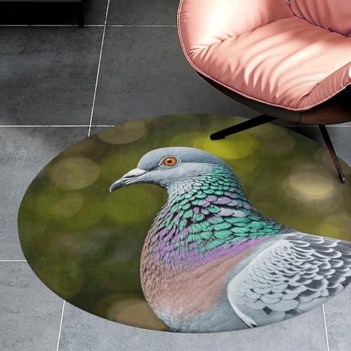 Tapis rond doux absorbant antidérapant motif pigeon gris salon