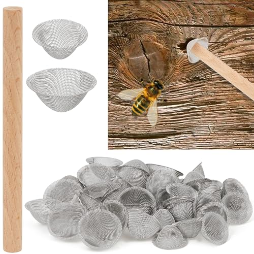 Carpenter Bee Hole Plugs 50 Pcs Stainless Steel Carpenter Bee Corks for Outside 2 Sizes Hole Filler with Wooden Stick Porches Fences Roofs Outdoor Wood Repair Kit