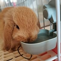 Vista 7 de Comedero de agua para conejos, sin fugas, 17 onzas, sin goteo, para conejillo de indias, hámster, chinchilla, hurón, animal pequeño Azul