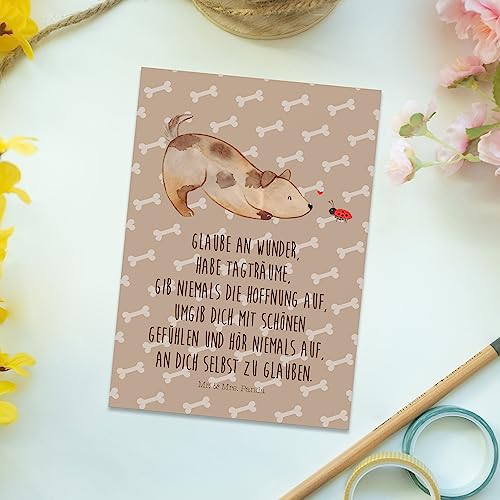 Mr. & Mrs. Panda Postkarte Hund Marienkäfer - Geschenk, Ansichtskarte, Träume, bildkarte, Zuversichtlich, Mischlingshund, Sprüche, Positiv, Ansichtskarten, Postkarten, Grußkarte, Wunder