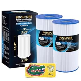 POOLPURE PRB35-IN Spa Filter Replaces Unicel C-4335, Filbur FC-2385, 25393