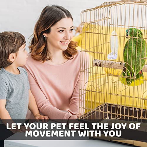 40 Pcs Cuddle Bone Cuttlefish Bone 3.0" To 3.5" Cuttlebone For Birds With 1 Parakeet Cuttlebone Holder Bird Cage Food Clip, Parakeet Toys Chew Toy For Birds Parrots Cockatiels Budgie Snails Reptiles #TOP6