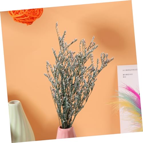 Ramo de flores secas Gypsophila x3 para decoración miniatura 7