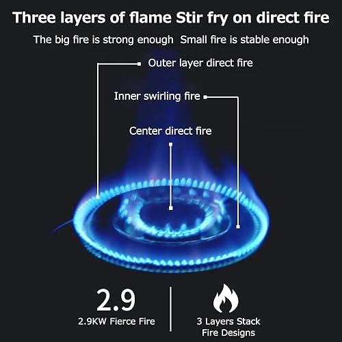 Miniatura 9 de ME-2900 Estufa de campamento de combustible dual Estufa portátil de propanobutano con estuche de transporte  Estufa resistente al viento de 10,000