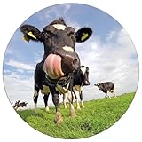 Wallario wasserfestes Poster selbstklebend Rund, 120 cm 