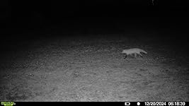 Review Image by Randy Good Randy Good