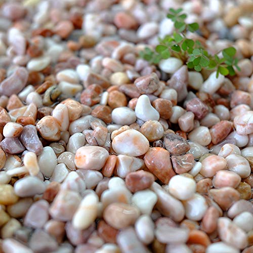 TAIKOH sN 2 5-7mm VR嗝 ύ F ʐ  (sN2 (5?7mm), 20kg)