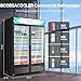 BODEGACOOLER Commercial Merchandiser Refrigerator, 2 Glass Door Commercial Beverage Refrigerator, 40 Cu. Ft Beverage Display Cooler with Soft LED Light, Adjustable Shelves and 4 Strong Castors(Black)