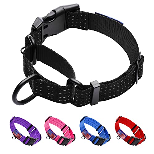 Keep Your Pup Safe and Secure with These Top 10 No Slip Dog Collars A