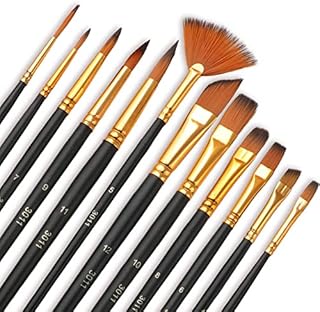 Paint Brush Set, 12PCS Artist Paint Brush Set for Kids and Adults - Acrylic Paint Brush for Watercolor Oil Painting Perfect for Professionals and Beginners