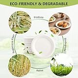 Zoom IMG-1 yidaxing piatti di carta 50pcs Zoom IMG-1 yidaxing piatti di carta 50pcs