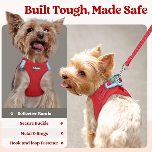 Image of rabbitgoo Dog Harness Medium Sized and Leash Set, Step-in Puppy Pet Vest