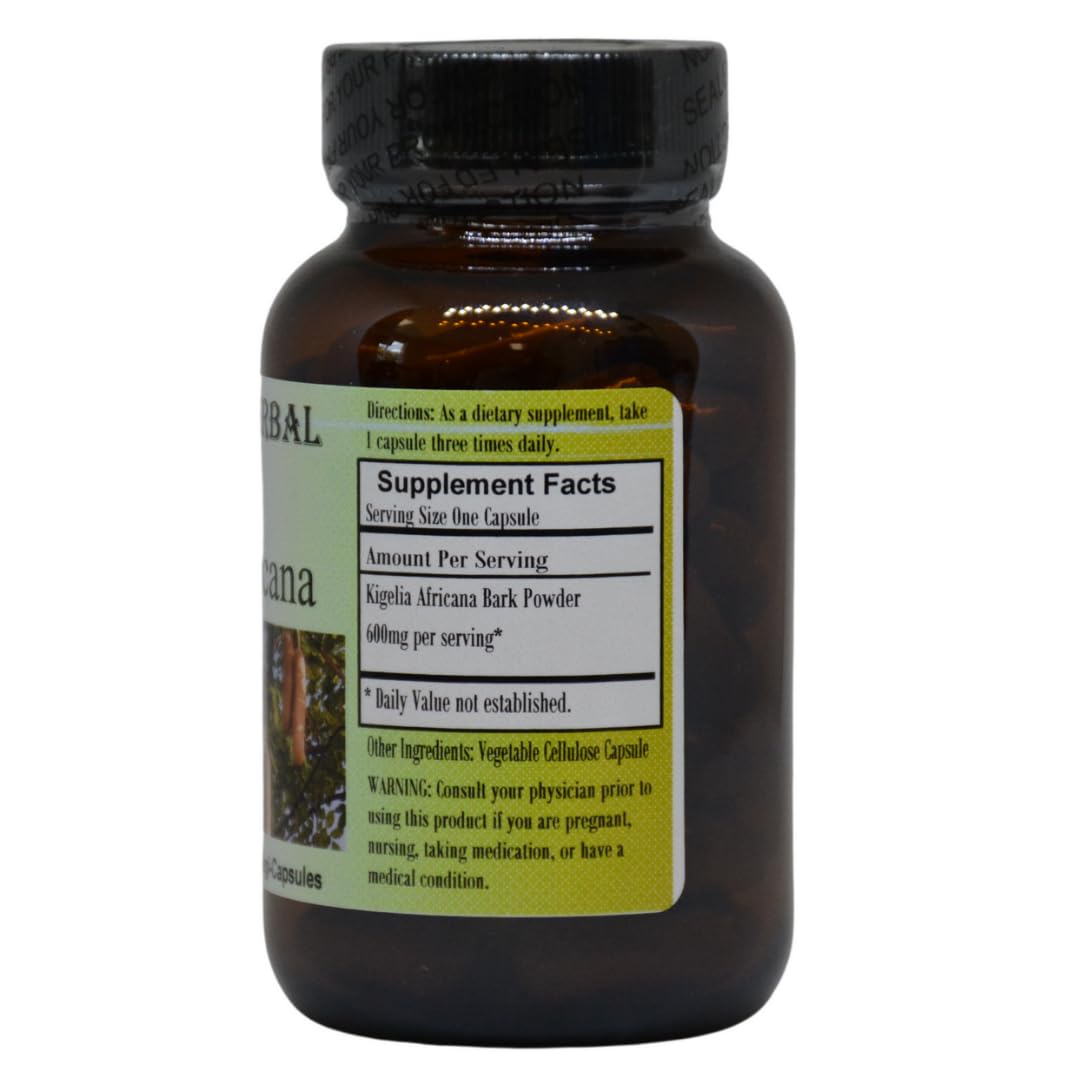 Amazon.com: Barlowe's Herbal Elixirs Kigelia Africana | 600 mg Per