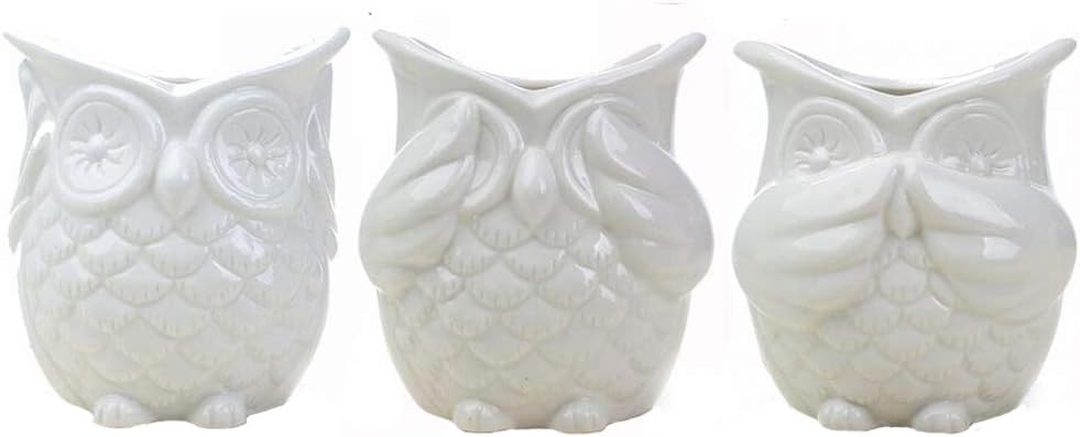 Set of 3 Modern White owl Ceramic Succulent Planter Pots/Mini Flower Plant Containers (White owl)